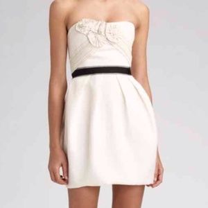 Gorgeous Strapless BCBGMaxAzria Dress (size 4)